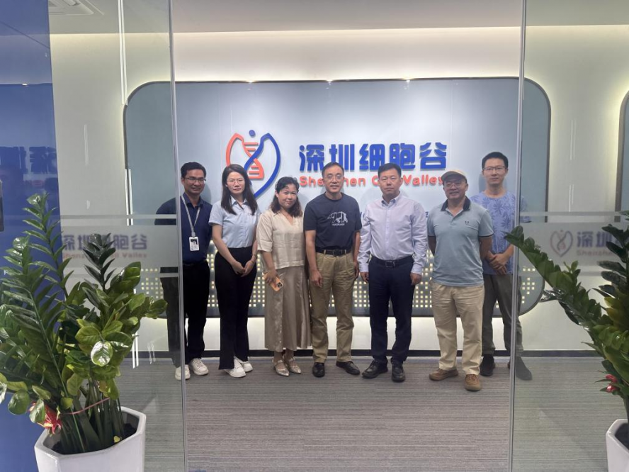 Jointly promote TCR-T cell therapy based on retrovirus vector - Professor Li Liangping, Chairman of Tesai Immunity, and his team visited Shenzhen Cell Valley for exchange