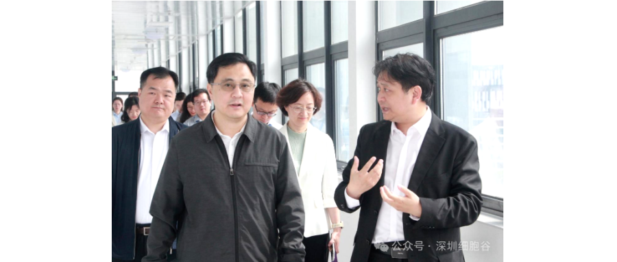 深圳市科创局张林局长一行调研深圳豪门国际