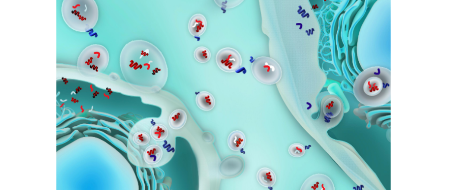 哪吒闹海！外泌体面纱大揭秘，我命由我不由天！