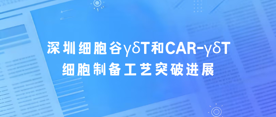 科研赋能|深圳豪门国际γδT和CAR-γδT细胞制备工艺突破进展