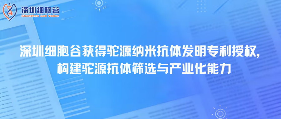 深圳豪门国际取得驼源纳米抗体发明专利授权，构建驼源抗体筛选与产业化能力